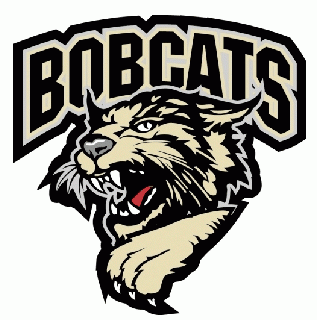 Bismarck Bobcats 2006 07-Pres Primary Logo vinyl decal